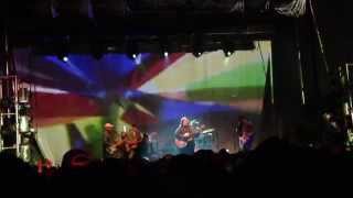 13th Floor Elevators - She Lives (In A Time Of Her Own)