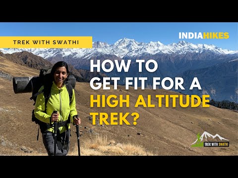 Trek fit guide hot sale
