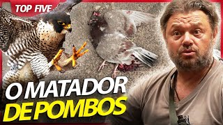 Miniatura do vídeo