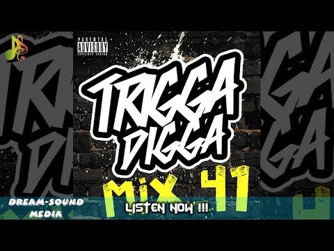 Trigga Happy Sound - Trigga Digga Mix Vol. 41 (Dancehall Mixtape 2017)