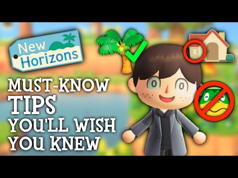 20 Things I WISH I Knew Sooner in Animal Crossing New Horizons