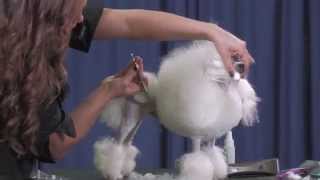 Toy Poodle Body and Finish Trim