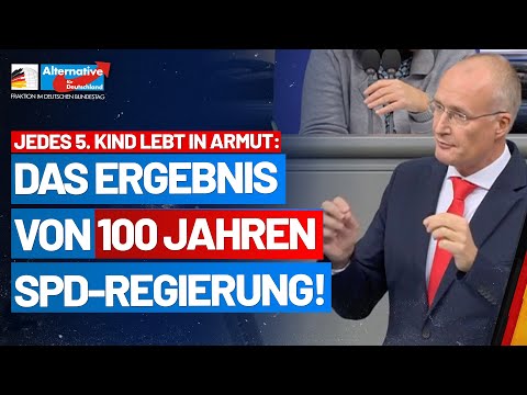 Thilo Sarrazin hatte Recht: Deutschland schafft sich ab! Jörn König - AfD-Fraktion im Bundestag