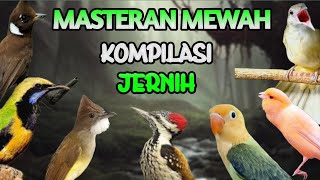Download lagu MASTERAN MURAI BATU FULL TEMBAKAN MATERIJERNIH PILIHAN COCOK UNTUK MASTERAN BURUNG trotol mp3 Download lagu MASTERAN MURAI BATU FULL TEMBAKAN MATERIJERNIH PILIHAN COCOK UNTUK MASTERAN BURUNG trotol mp3