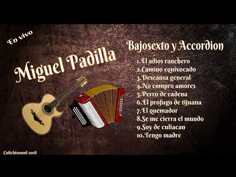 Miguel padilla en vivo bajosexto y accordion