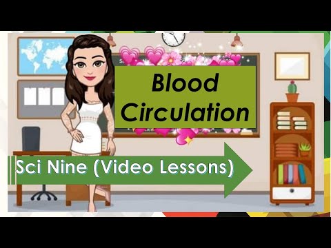 Blood Circulation #Grade9Science #1stQuarter #BloodCirculation #Biology |Sci Nine