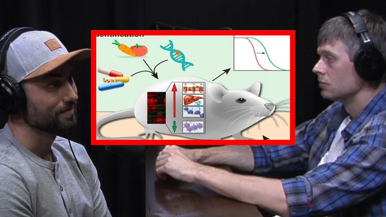 Are yamanaka factors the key to longevity? - YouTube