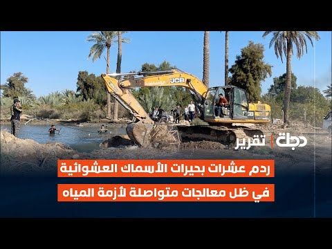 فيديو | صلاح الدين.. ردم عشرات بحيرات الأسماك العشوائية في ظل معالجات متواصلة لأزمة المياه
