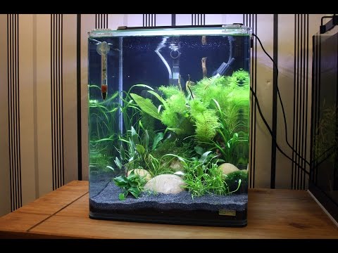 Dennerle Nano Cube Shrimp Tank 30 Litres