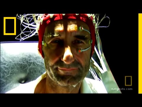 Inside the Tripper's Brain | National Geographic
