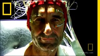 Inside the Tripper&#39;s Brain | National Geographic
