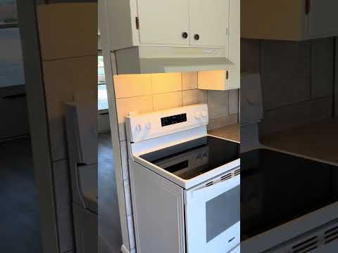 4904 South Iowa Avenue - Video 2 of 2