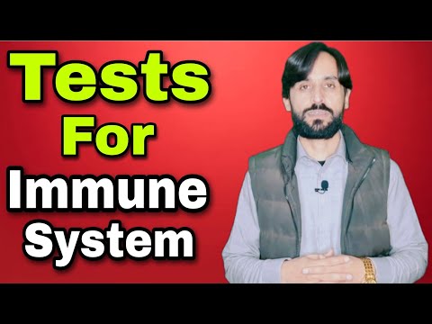 Tests That Can Check Your Immune System