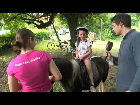 DNEVNIK 02.07.2023. Osječka televizija