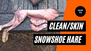 How to Skin and Clean a Snowshoe Hare