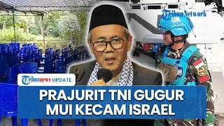 MUI Desak Pemerintah RI Keluar dari BoP, Kecam Penyerangan ke Prajurit TNI Gugur Bertugas di Lebanon