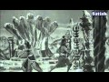 Jayathwadab Bravibramath Seetarama Kalyanam Telugu Old Classics NTR Ghantasala
