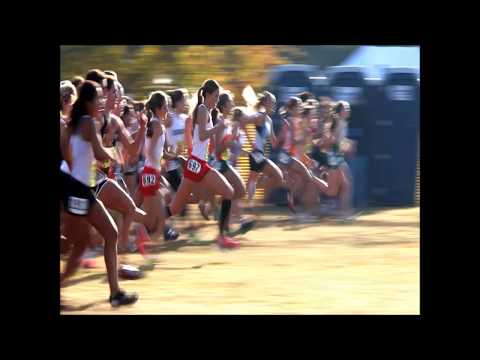 PechaKucha Night #17:  So You Think You’re Pretty Great