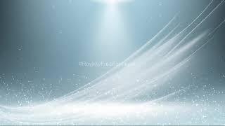 white background video effects hd | white particles background loop | white background video