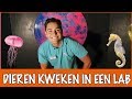 OMG Zeepaarden, haaien en kwallen KWEKEN! ? | DierenpraatTV