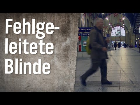 Realer Irrsinn: Fehlgeleitete Blinde am Bhf. Wiesbaden | extra 3 | NDR