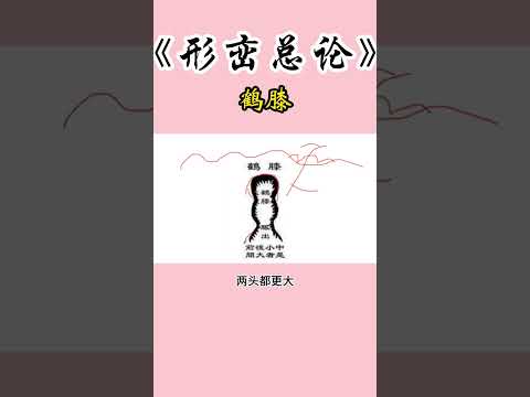 撼龍經