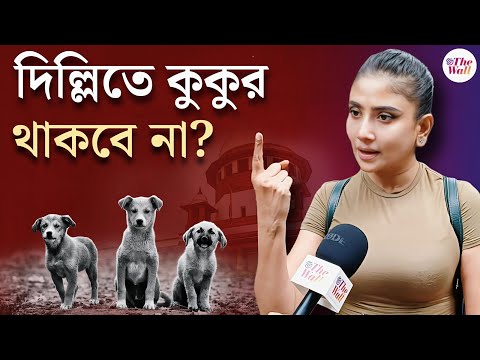 Dog Case।Supreme Court।Debolina Dutta।দিল্লি থেকে পথকুকুরদের সরানোর সিদ্ধান্তে ক্ষুব্ধ দেবলীনা দত্ত
