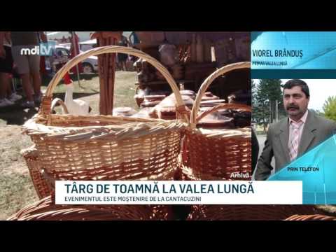 TÂRG DE TOAMNĂ LA VALEA LUNGĂ - MDI TV