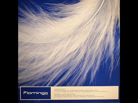 Rawsoul Orchestra – Everyday (Bonus Beats) (2002)