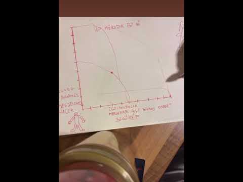 Így működik egy nő by Pumped Gabo