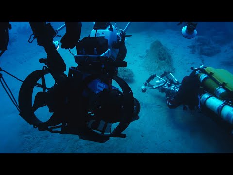 EP 24 SUEX STORIES  TAMATAROA