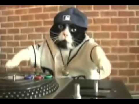 Netia-Dj Kot