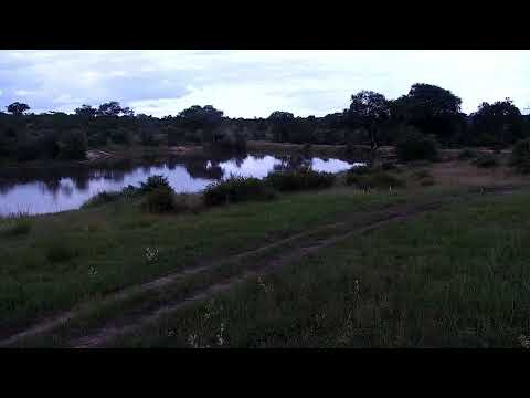 Djuma: Sights and sounds - 15:29 - 03/23/2023