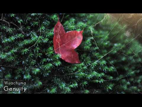 Genuity by Wuachuma [Mix]