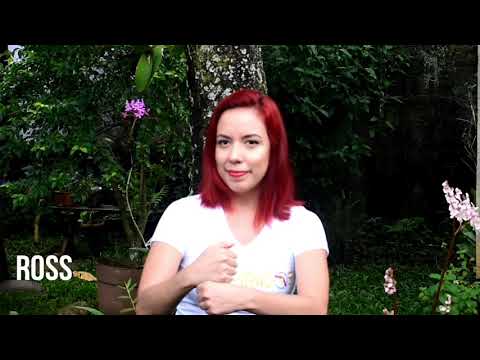 LESCO - #Lampíridos