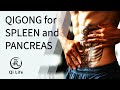 Qigong Für Milz Und Bauchspeicheldrüse Qi Life Vlog 31