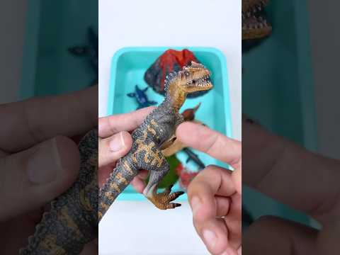 Miniature Sea Animal Toys Diorama and where is Triceratops head? | ASMR Toy Video #asmrvideo