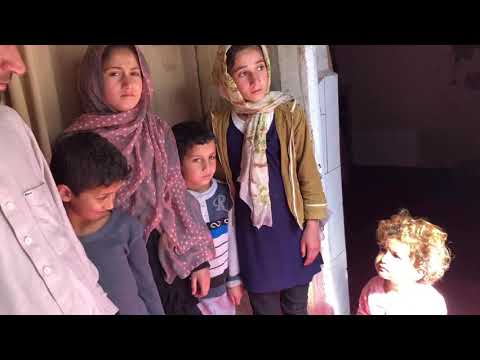 کمک با فامیل پلواشه