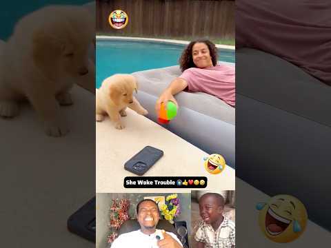 Time For Relaxation #trending #funny #shorts #comedy #subscribe #foryou