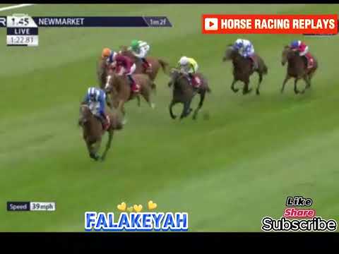 Falakeyah / 1 Race Newmarket 04/05/2025