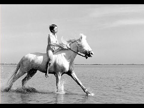 ¨Crin-Blanc¨ - Albert Lamorisse