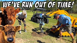 Securing Our Mini Highland Cows: The Ultimate Fence Build!