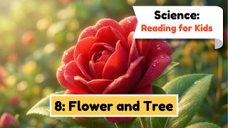 I'm a Scientist 8: Flower and Tree | English for Kids