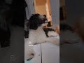 Lucky