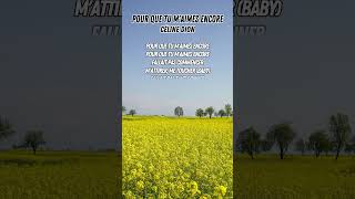 Pour Que Tu M&#39;aimes Encore - Céline Dion (Lyrics) #Pourquetum&#39;aimesencorelyrics