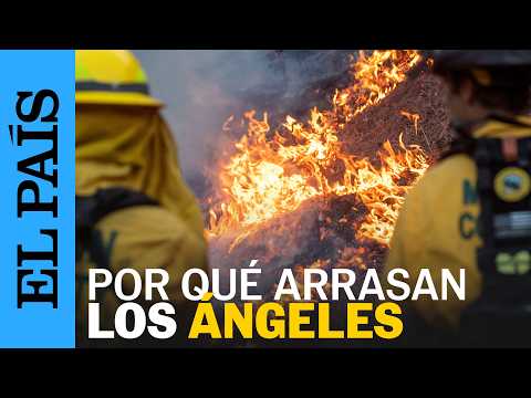 Incendio forestal en Los Ángeles: intensifican evacuaciones ante el avance del fuego de Palisades
