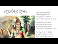 Ardha Nareeshwara Shiva Stotram