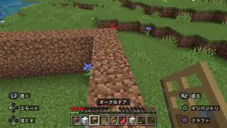 17年前の大人気ゲーム「マイクラ」をサバイバルモードで完全初見プレイ。