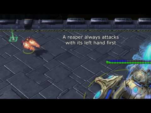 Break the game with phoenix lift? 99% Useless Facts #4