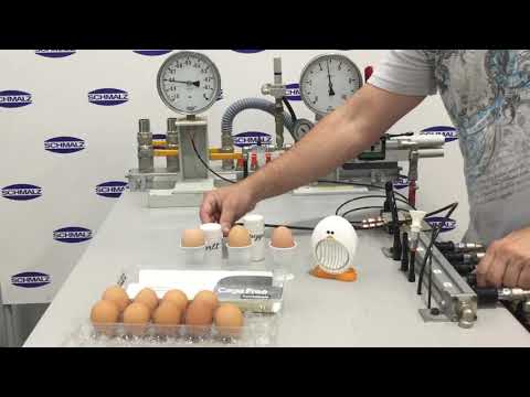 Egg Handling Vacuum Suction Cups